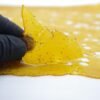 blueberry-og-shatter-glove-1024x678 Shatter konzentrate 80% Kaufen