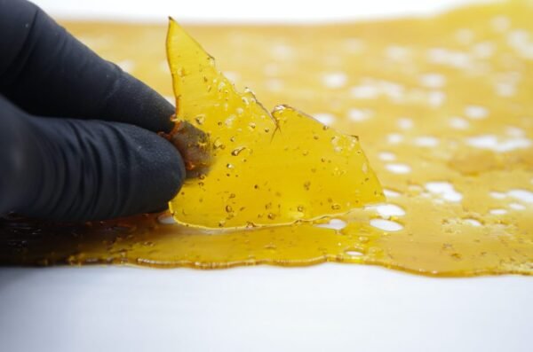 blueberry-og-shatter-glove-1024x678 Shatter konzentrate 80% Kaufen