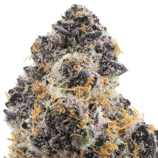 THC Blüten kaufen Köln rezeptfrei verpackt