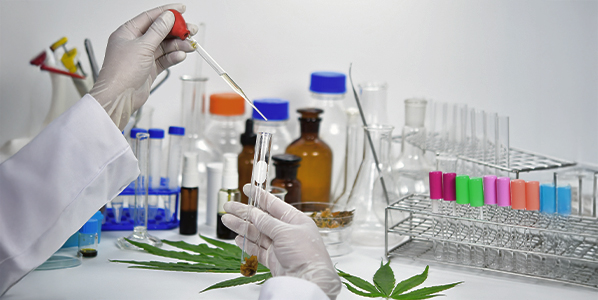 Hochwertiges dunkles THC Haschisch mit reichem Terpenprofil