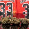 Backpackboyz 3.5g THC 30.642% kaufen