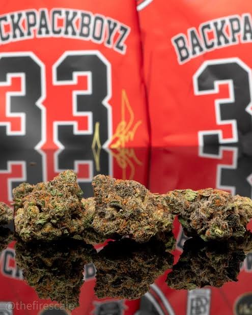Backpackboyz 3.5g THC 30.642% kaufen
