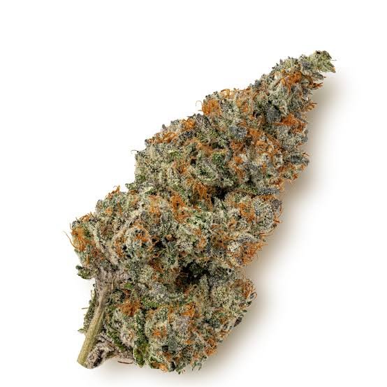 Og Kush Kaufen THC Markt 26%