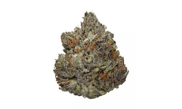 Amnesia Haze 25% THC kaufen
