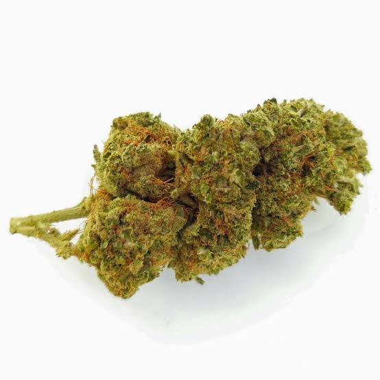 images - 2026-09-15T101537.954 Amnesia Haze THC 18% kaufen Österreich