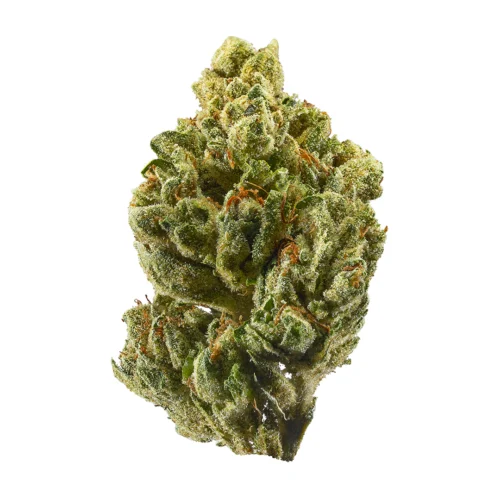 OG Kush THC 20% kaufen Österreich