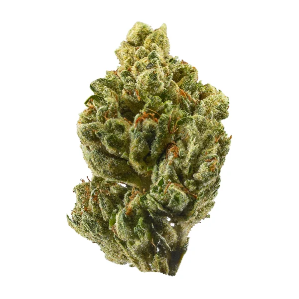 OG Kush THC 20% kaufen Österreich